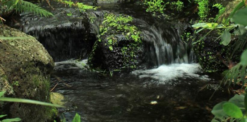 Mahi Kotahi – An invitation to Manaaki Whenua